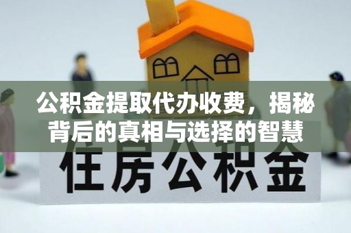 丹阳公积金提取代办收费，揭秘背后的真相与选择的智慧