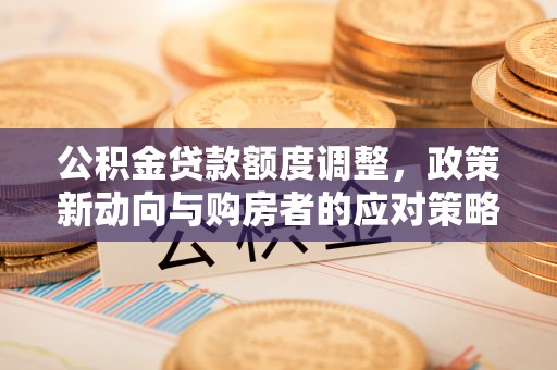 丹阳公积金贷款额度调整，政策新动向与购房者的应对策略