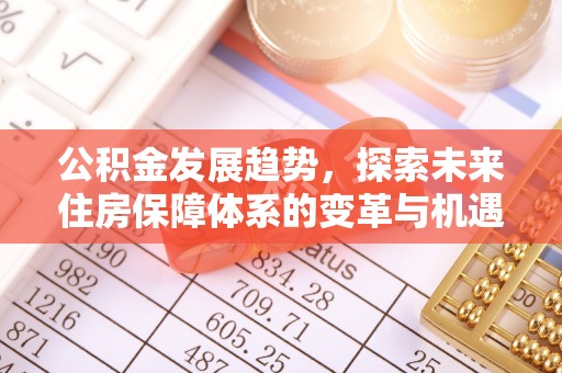 丹阳公积金发展趋势，探索未来住房保障体系的变革与机遇
