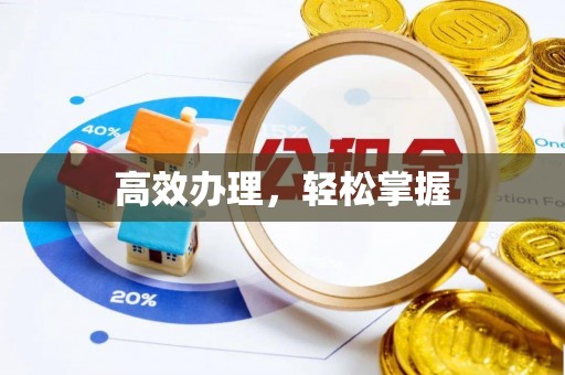 丹阳高效办理，轻松掌握