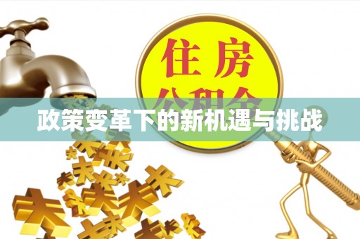 丹阳政策变革下的新机遇与挑战