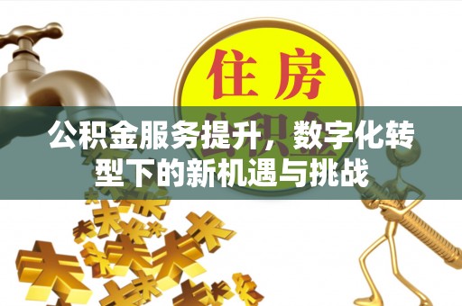 丹阳公积金服务提升，数字化转型下的新机遇与挑战