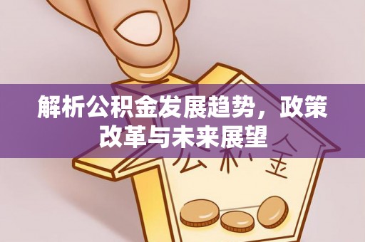 丹阳解析公积金发展趋势，政策改革与未来展望