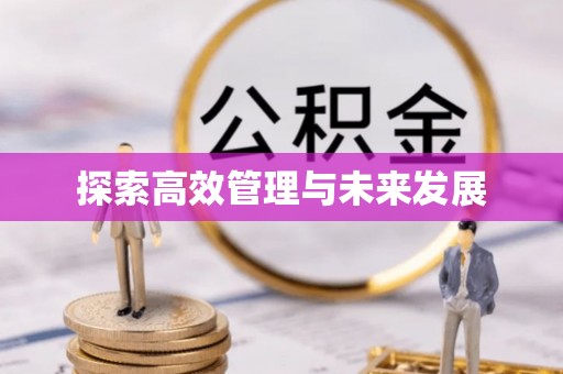 丹阳探索高效管理与未来发展