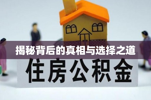 丹阳揭秘背后的真相与选择之道