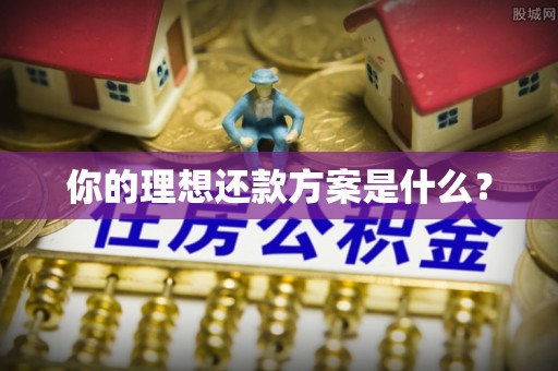 丹阳你的理想还款方案是什么？