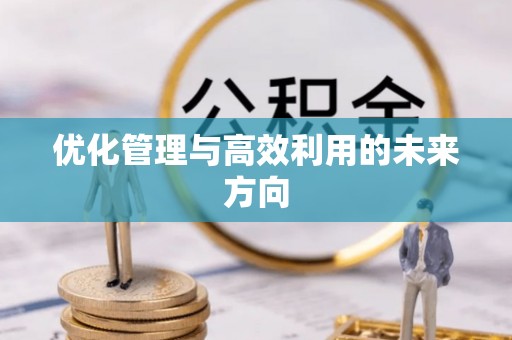 丹阳优化管理与高效利用的未来方向