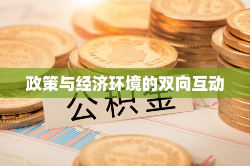 丹阳政策与经济环境的双向互动