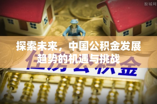 丹阳探索未来，中国公积金发展趋势的机遇与挑战