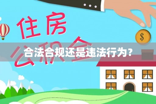 丹阳合法合规还是违法行为？