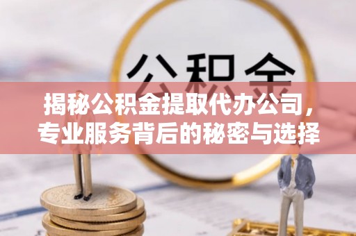 丹阳揭秘公积金提取代办公司，专业服务背后的秘密与选择指南