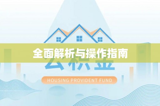 丹阳全面解析与操作指南