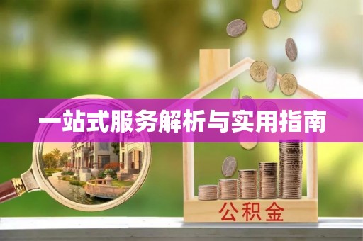 丹阳一站式服务解析与实用指南