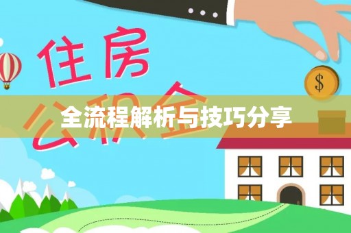 丹阳全流程解析与技巧分享