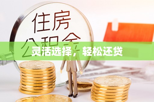丹阳灵活选择，轻松还贷