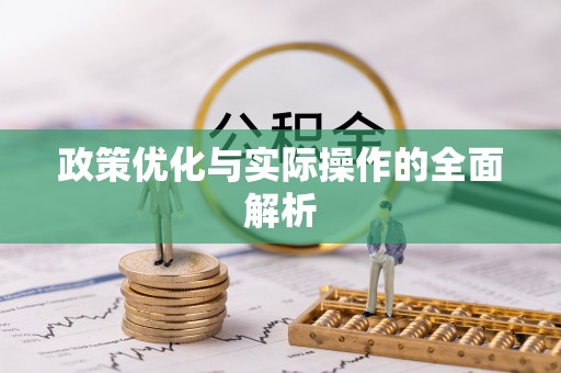 丹阳政策优化与实际操作的全面解析