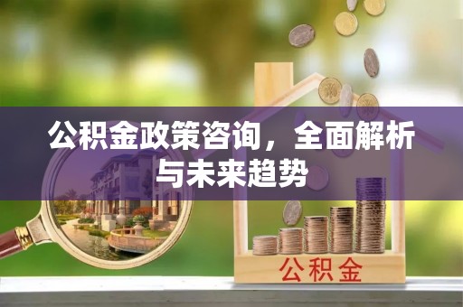 丹阳公积金政策咨询，全面解析与未来趋势